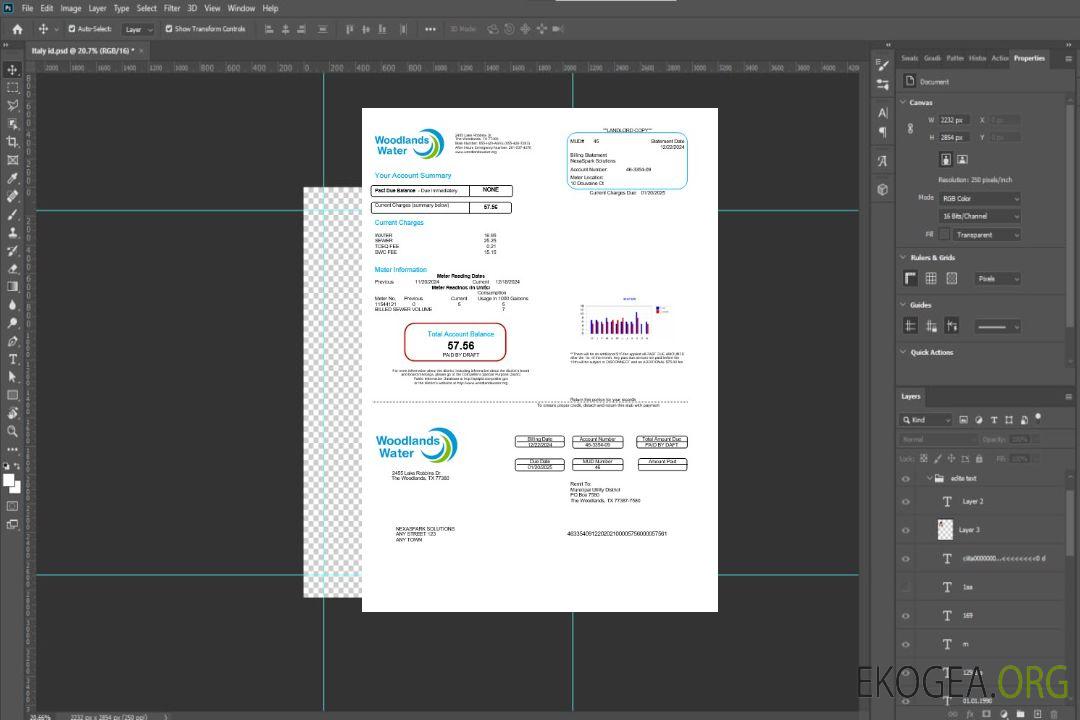 Modèle Word et PDF de facture de services publics de l'eau des États-Unis Woodlands template